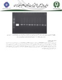 مقاله بررسی پلی مورفیسم ژنتیکی ( A2455G ) ژن cyp1a1 در یک جمعیت مبتلا به سرطان تخمدان در استان مازندران صفحه 4 