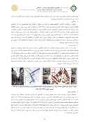 مقاله نگاهی به جایگاه امنیت در ارکان شهرسازی اسلامی با هدف ارتقاء تعاملات اجتماعی ( نمونه موردی : بازار سنتی همدان ) صفحه 5 