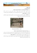 مقاله آنالیز رخساره های سنگی آواری سازند قم در منطقه بستان آباد ، شرق تبریز صفحه 4 