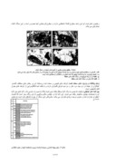 مقاله بررسی چینه شناسی و سن سنگ های رسوبی کانسار سرب - روی آهنگران ( جنوب شرق ملایر ) صفحه 4 
