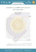 مقاله رویکرد راهبردی به ساماندهی سکونتگاههای غیر رسمی در کلانشهرهای کشور مطالعه موردی شهرک نوده مشهد صفحه 1 