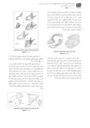 مقاله تحلیل جلوه های مفهومی و پروسه های هندسی پیچیده در الگوهای معماری پارامتریک صفحه 4 