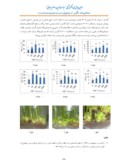 مقاله بررسی تأثیر اسید هیومیک بر باززایی و ریشه زایی سوسن چلچراغ ( Lilium ledebiourii Bioss ) در شرایط درون شیشه ای صفحه 3 