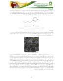مقاله اندازه گیری ویتامین ث در نمونه های غذایی با استفاده حسگرهای الکتروشیمیایی اصلاح شده با نانومواد صفحه 3 