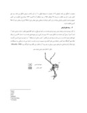 مقاله تحلیلی بر برنامه ریزی در شهرهای اسلامی ( مطالعه موردی : منطقه قاهره ) صفحه 4 