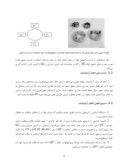 مقاله بررسی ضریب انتقال حرارت در محلولهای الکترولیت صفحه 5 