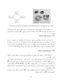 مقاله بررسی ضریب انتقال حرارت در محلولهای الکترولیت صفحه 5 