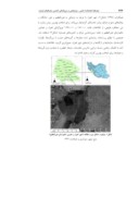 مقاله پیشگیری از طوفان ریزگردها و وزن دهی معیارهای پیشگیری مورد مطالعه : هورالعظیم صفحه 4 