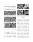 مقاله ساخت نانو کامپوزیت های پلیمری متخلخل polyHIPE به روش پلیمریزاسیون امولسیون هایی با درصد بالای فاز درونی صفحه 5 