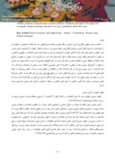 مقاله بررسی حقوق و آزادی های سیاسی زنان در قانون اساسی عربستان سعودی ( با تأکید بر آموزه های اسلامی ) صفحه 2 