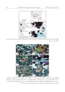 مقاله بررسی سنگ شناسی و ژئوشیمیایی سنگ های آتشفشانی و درونی پلیو - کواترنری غرب نیر ( استان اردبیل ) صفحه 5 