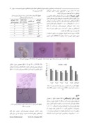 مقاله اثرات وابسته به دوز ملاتونین بر ظرفیت بلوغ آزمایشگاهی تخمک ، لقاح آزمایشگاهی و تکوین بلاستوسیست در موش صفحه 3 