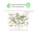 مقاله بررسی خواص دارویی و کاربردهای گیاه دارویی ’مریم گلی ( Salvia officinalis ) ‘ صفحه 5 