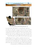 مقاله مطالعه کانیهای سنگین در پلاسرهای منطقه االله آباد غرب زاهدان صفحه 2 