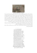 مقاله شهر سمنان و فرهنگی منتج از نهرهای روان صفحه 4 