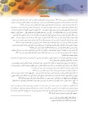مقاله تاثیرمعنویت اسلامی بر هویت سازمانی ( مورد مطالعه : دانشگاه آزاد واحد دماوند ) صفحه 2 