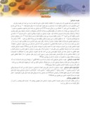 مقاله تاثیرمعنویت اسلامی بر هویت سازمانی ( مورد مطالعه : دانشگاه آزاد واحد دماوند ) صفحه 3 