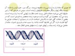 دانلود پاورپوینت ساختار ژن صفحه 3 