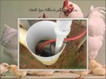 دانلود پاورپوینت تجهیزات بکار رفته در مزرعه جوجه های گوشتی مرغ و خروس صفحه 12 