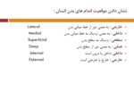 دانلود پاورپوینت آناتومی انسان . ppt صفحه 13 