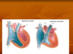 دانلود پاورپوینت فیزیولوژی قلب و دستگاه گردش خون صفحه 10 