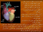 دانلود پاورپوینت فیزیولوژی قلب و دستگاه گردش خون صفحه 7 