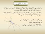 دانلود فایل پاورپوینت ترسیمهای هندسی در عالم اسلامی صفحه 16 