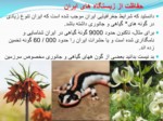 دانلود فایل پاورپوینت جغرافیا , محیط زیست و حیاط وحش ایران صفحه 4 