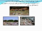 دانلود فایل پاورپوینت جغرافیا , محیط زیست و حیاط وحش ایران صفحه 8 