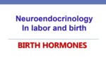 دانلود فایل پاورپوینت Neuroendocrinology In labor and birth صفحه 2 