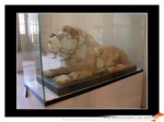 دانلود فایل پاورپوینت تصاویری از آثار باستانی ایران در موزه ی لوور صفحه 4 