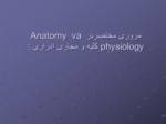 دانلود فایل پاورپوینت مروری مختصربر Anatomy va physiology کلیه و مجاری ادراری صفحه 4 