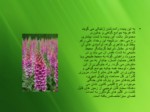 دانلود فایل پاورپوینت استفاده از گیاهان دارویی در طراحی فضای سبز شهری صفحه 12 