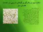 دانلود فایل پاورپوینت استفاده از گیاهان دارویی در طراحی فضای سبز شهری صفحه 20 