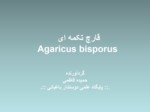 دانلود فایل پاورپوینت قارچ تکمه ای Agaricus bisporus صفحه 1 