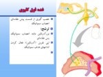 دانلود فایل پاورپوینت فارماکولوژی داروهای موثر بر سیستم اوتونوم صفحه 10 