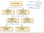 دانلود فایل پاورپوینت فارماکولوژی داروهای موثر بر سیستم اوتونوم صفحه 3 