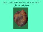 دانلود فایل پاورپوینت سیستم قلبی عر وقی صفحه 1 