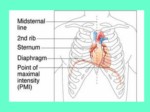 دانلود فایل پاورپوینت سیستم قلبی عر وقی صفحه 4 