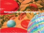 دانلود فایل پاورپوینت Nanoparticulate Drug Delivery Systems صفحه 2 