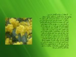 دانلود فایل پاورپوینت استفاده از گیاهان دارویی در طراحی فضای سبز شهری صفحه 11 