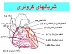 دانلود فایل پاورپوینت فیزیولوژی قلب صفحه 12 