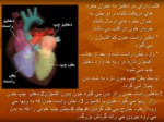 دانلود فایل پاورپوینت فیزیولوژی قلب و دستگاه گردش خون صفحه 7 