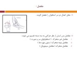 دانلود فایل پاورپوینت آناتومی انسان صفحه 14 