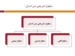 دانلود فایل پاورپوینت آناتومی انسان صفحه 5 