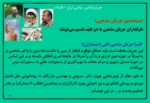 دانلود فایل پاورپوینت جریان شناسی سیاسی ایران صفحه 8 