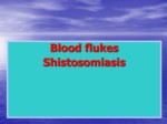 دانلود فایل پاورپوینت Blood flukes Shistosomiasis صفحه 1 