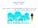 دانلود فایل پاورپوینت ادراک و شناخت اکولوژی جنگل ( Forest Ecology ) صفحه 16 