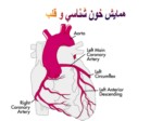 دانلود پاورپوینت همایش خون شناسی و قلب صفحه 2 