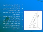 دانلود پاورپوینت کشش ورزشی صفحه 4 